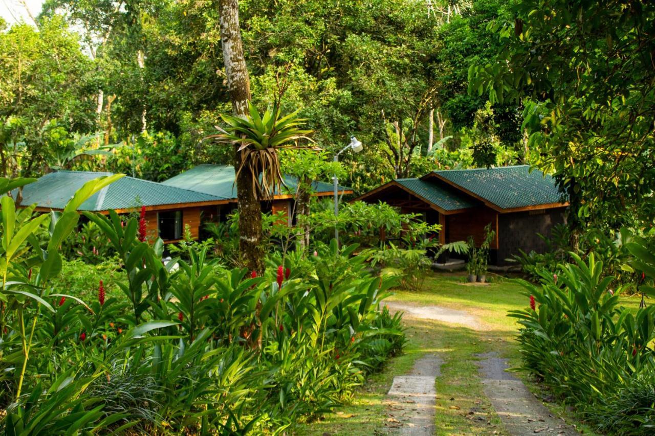 Eden Organic Farm & Bungalows La Fortuna Exterior foto