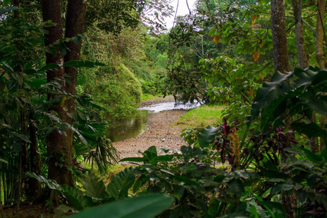 Eden Organic Farm & Bungalows La Fortuna Exterior foto