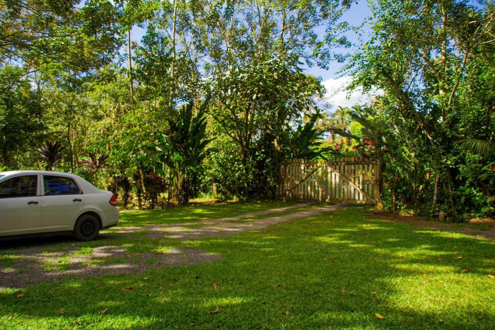 Eden Organic Farm & Bungalows La Fortuna Zimmer foto