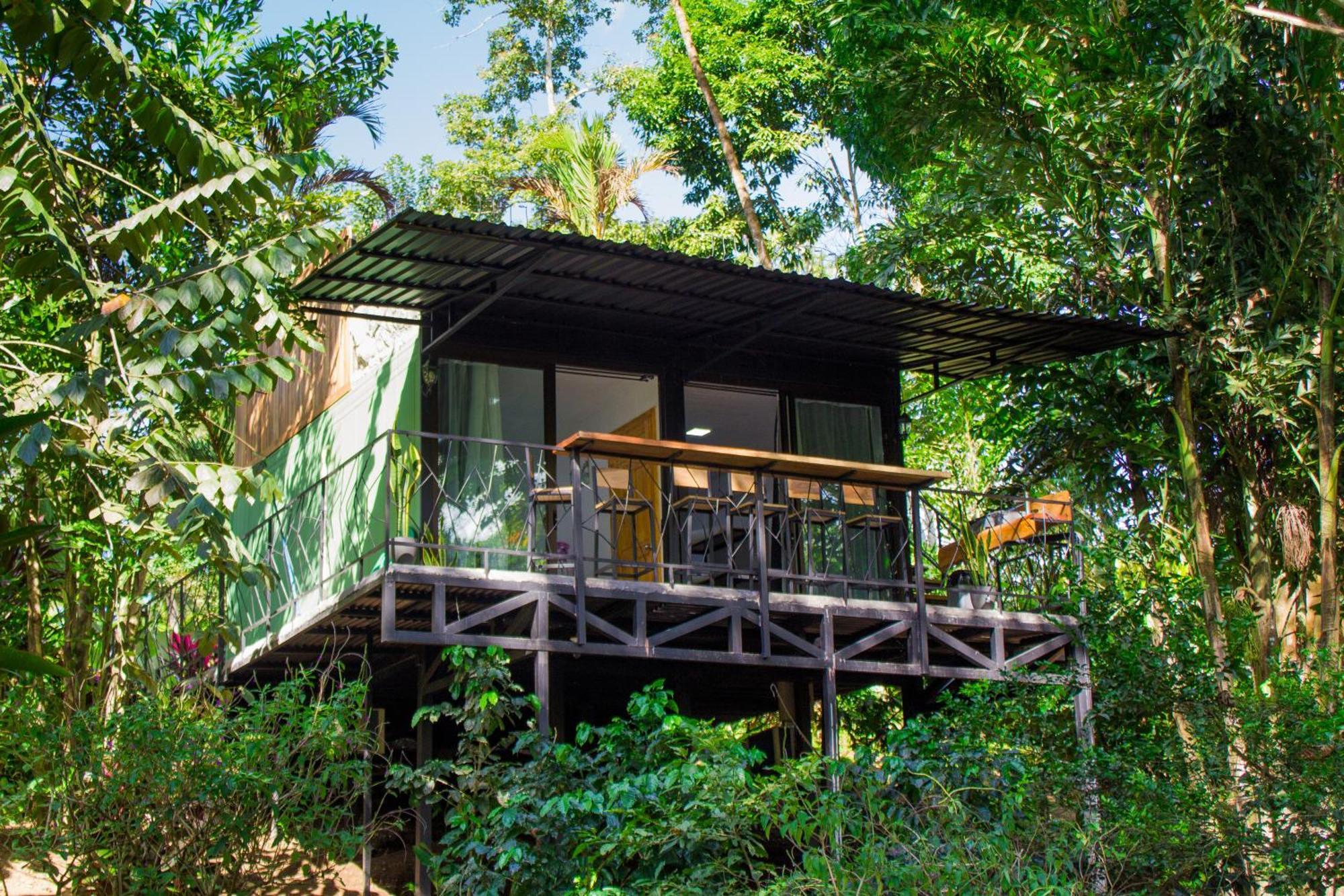 Eden Organic Farm & Bungalows La Fortuna Zimmer foto